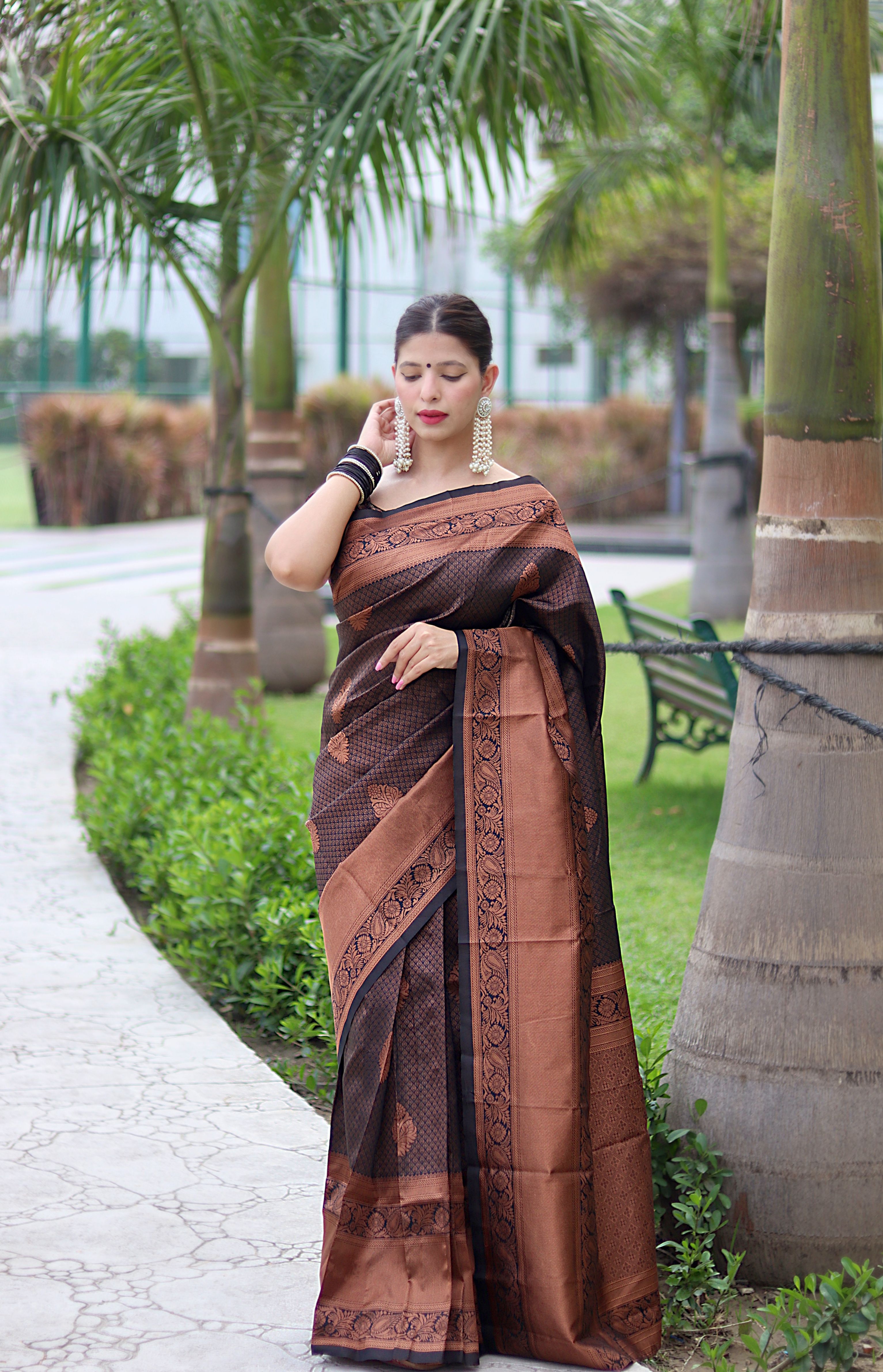 Fascinating Black Banarasi Silk Saree With Winsome Blouse Piece